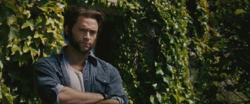 Logan (Wolverine)-X-men,Hugh Jackman.