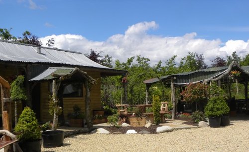 Kinbark Nurseries are a family run Tree Nursery and Landscape Contractor in Camolin, Co. Wexford. 
http://t.co/9Bf2QTikve   053 9383247