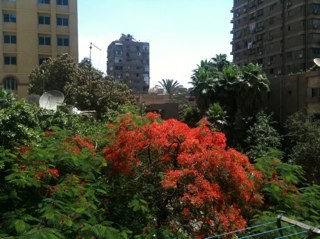 hazelrosemary's profile picture. 