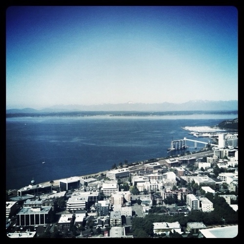 Thillbilli's profile picture. I'm me. I stream infrequently. Point.