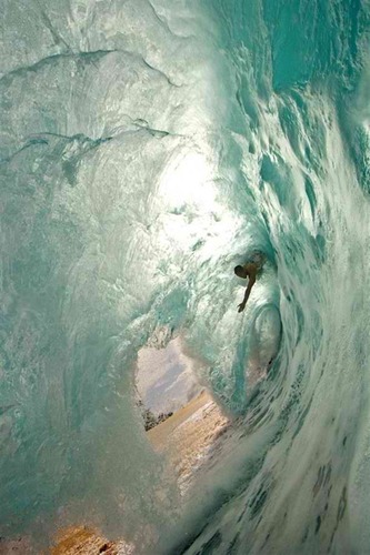 terrencejc24's profile picture. Makin chicks laugh is a start. Makin them cum is second