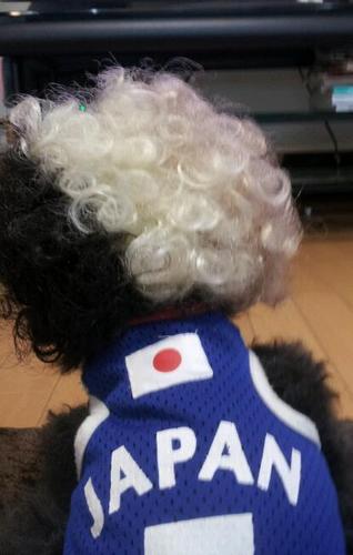 神戸の犬屋敷で６人の小さなかわいいメンバーと日々つぶやき癒され中(*^^*)サッカー大好き(♥Ü♥)