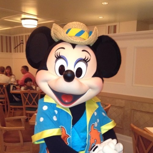 travelwthlauren's profile picture. I specialize in Disney Vacation Planning-I can help plan your next Disney Vacation & the great thing is my services are FREE! Contact me today at 732-961-3079.