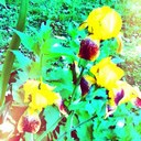 payton - @payton_peter - Twitter