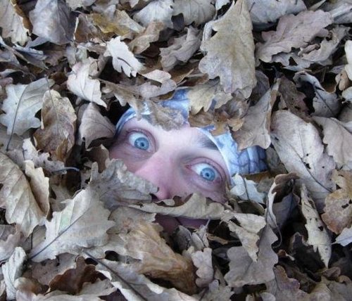 ashwork's profile picture. 