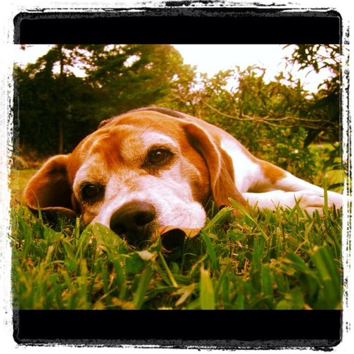 jfzuluaga81's profile picture. 