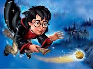 a lonely muggle trying to unlock JK Rowling's chamber of secrets so he can learn more about harry, hogwarts and beyond!