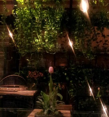 cham2918's profile picture. 