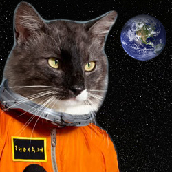 farworlders's profile picture. Crap said at our workplace. So underground, nobody has ever heard of it. Obey Far World Law, Tweet often, and Godspeed.