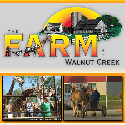 Amish working farm where you'll meet giraffes, camels, kangaroos, zebras and a host of other exotic animals up close. Come pet and feed our friendly animals!
