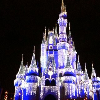 TMFLDebbieR's profile picture. As an affiliated agent, I make vacation wishes come true!