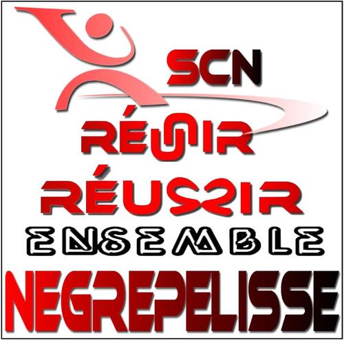 Le SCN TWIRLING compte à ce jour 152 adhérents.  Le TWIRLING est une discipline sportive reconnue par le Comité National Olympique et Sportif Français en 1994.