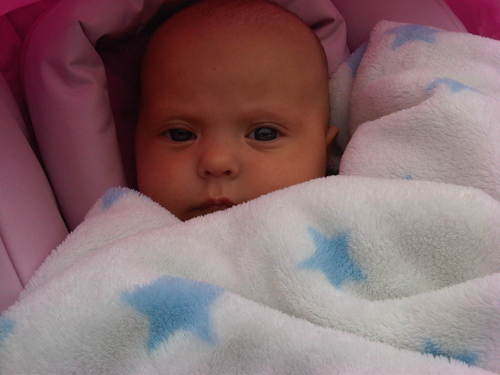 vicci_lloyd's profile picture. 