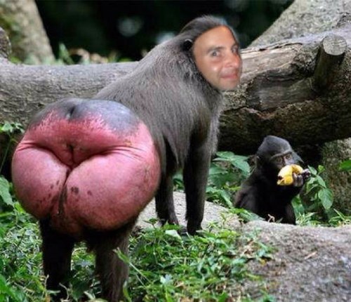 HawkeyeExec's profile picture. Life is a team game, and the over/under on it is Infinity. Seek Truth