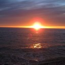 Carole Donner - @carole_donner - Twitter