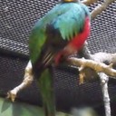 Sienna Branch - @SiennaBranch - Twitter