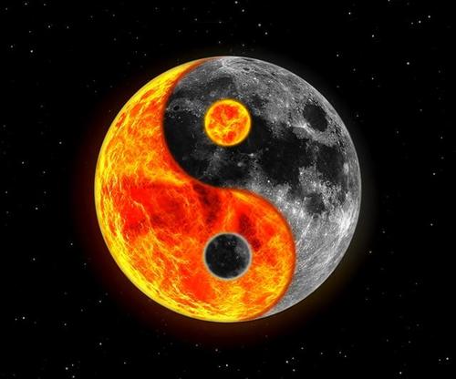 amartins61's profile picture. Vive como si fueras a morir mañana; aprende como si el mundo fuera a durar para siempre.