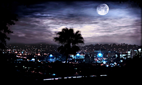 LoriBucciPhoto's profile picture. Photographer located in Los Angeles, Ca.  I have always loved everything that makes California what it is...the pretty and the gritty.