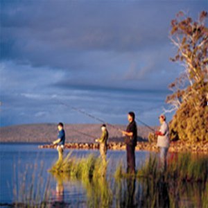 MenHealthGuide's profile picture. Men's Health Guide is by blog to give men specific help for their health and wellbeing