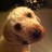 squall8807's profile image