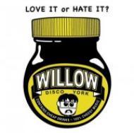Studying Sambuca and Tequila shots at The Willow restaurant and disco. While also sampling the most random assortment of music and top quality prawn crackers.
