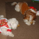 Lisa Brannon - @lisa_brannon - Twitter