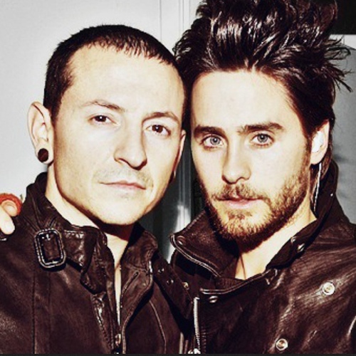 ♥30STM, LP, Muse, A7X, BVB, MCR
    |TVD/anime|
Jumped and touched the sky 23.8.11 
Up in the air 6.6.13 + 8.11.13

Live your dreams no matter what