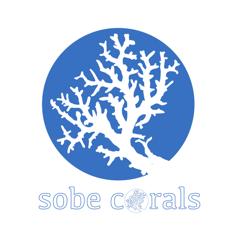 South Beach Corals aka SoBeCorals is an aquaculture phenomenon!
We offer a wide verity of coral and dry goods. Aquaculture is our Culture