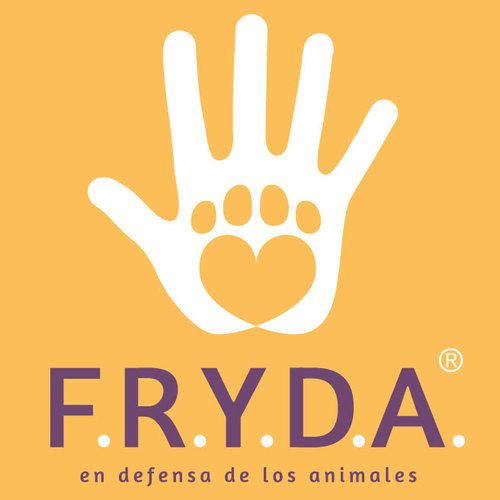 FRYDApuebla Profile Picture