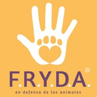 F.R.Y.D.A.(@FRYDApuebla) 's Twitter Profile Photo