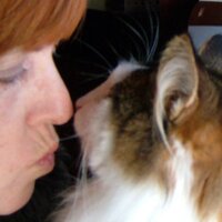 Trish McCarter (@trishmccarter) 's Twitter Profile