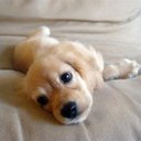 Annie bird - @Anniebird15 - Twitter