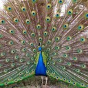 katia guzman - @katiaguz - Twitter