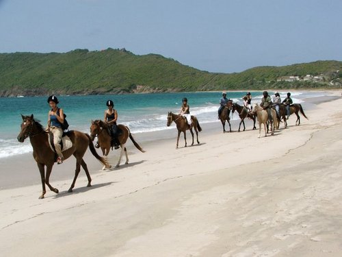 We offer horseback riding along the longest unspoilt beach in St.Lucia. Come and make your dreams come true by experiencing the breathtaking views on horseback!