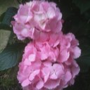 Kathi Ross - @meadowcrest - Twitter