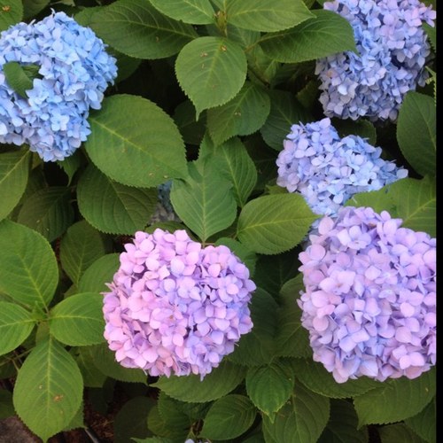 erraticmusings's profile picture. word editor by day | video editor by night | am tired | she/they
i set my profile pic in 2010 and now it has value as a relic and it's too late to change it. :O