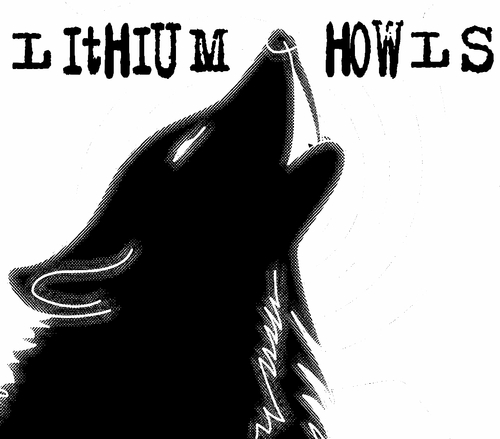 LithiumHowls's profile picture. In early 2012, Lithium Howls formed to create
what is fast becoming one of the Midlands most popular Duos.