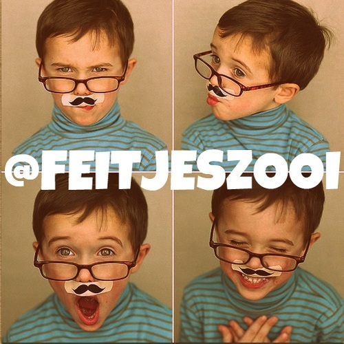 FEiTJESZOOi's profile picture. de allerleukste feitjes, :) follow & krijg follow back
