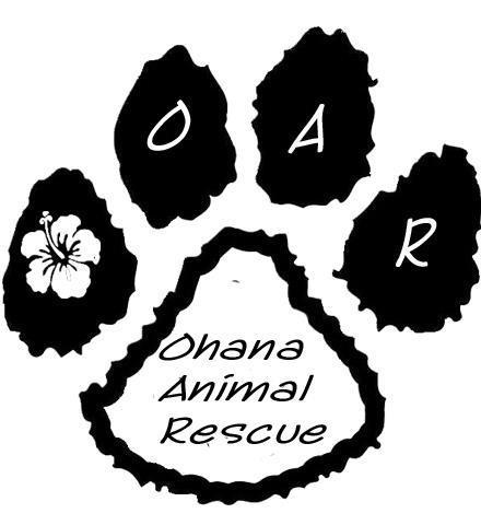 Saving dogs from the euthanasia list.  Please visit our website to see dogs available for adoption.