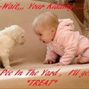 Amanda Pasqua - @AmandaPasqua - Twitter