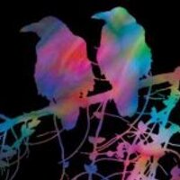 The Active Listener (@activelistener1) 's Twitter Profile