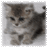 onosa939or's profile image
