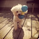 Mac Clements - @ClementsMac - Twitter