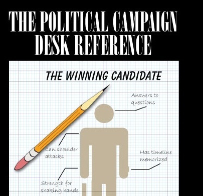 Political Consultant