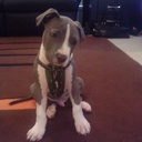 Mitchell Stark - @StarkMitchell - Twitter