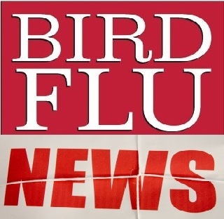 Collect and send bird flu news. Please retweet the news to your friends for their safety.