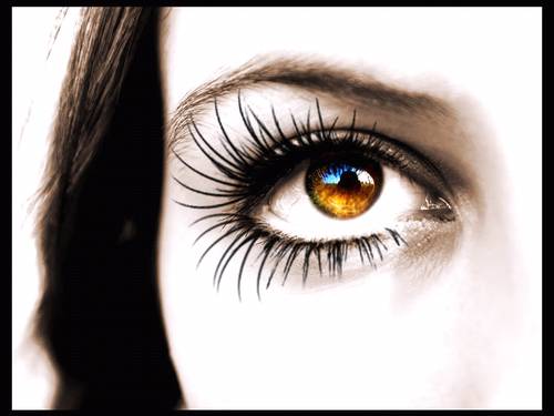 Harmony_Bird's profile picture. Hello, people! I am a Supernatural, MaxRide, PJO, and THG lover. My other accounts are @Madge_MockingJ and @GoldenJayMadge