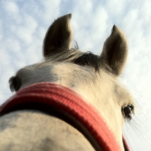 mfrugone's profile picture. Ser humano comun......