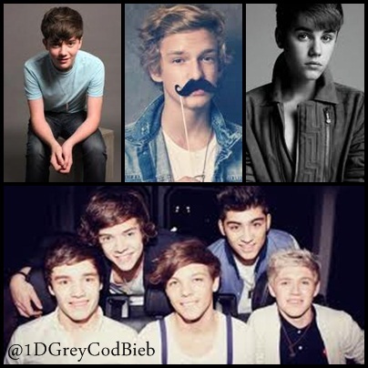 We're Indonesian Directioners, Enchancers, Simpsonizer, Beliebers . We have 2 owner: V,K and 3 co-own: L,A,P★