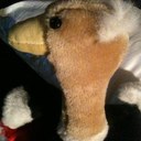 fernando avitia - @fernandoavitia1 - Twitter